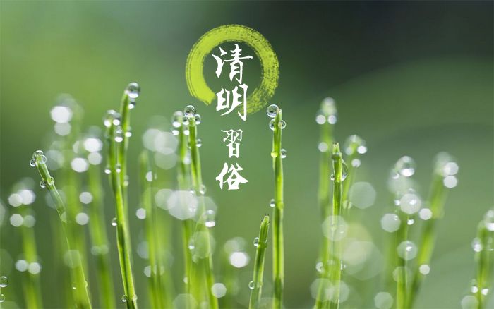 清明节有哪些习俗