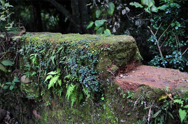 三伯公故居遗址