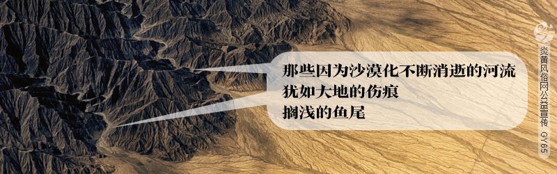 百般耐读的李清照海棠花：知否，知否，应是绿肥红瘦