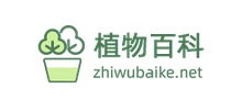 植物百科网logo,植物百科网标识